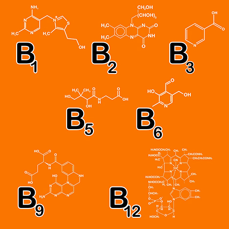 B Vitamin